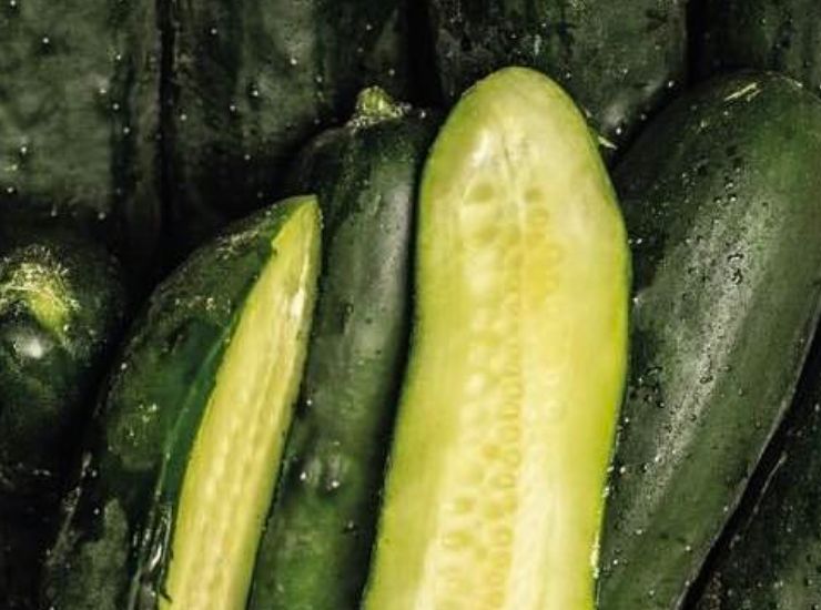 Cetrioli