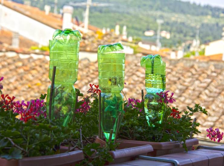 Il trucchetto delle bottigliette di plastica per evitare che le piantine si secchino.