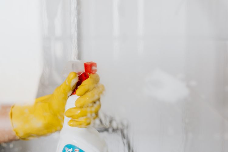 Come togliere la muffa dal muro di casa per sempre