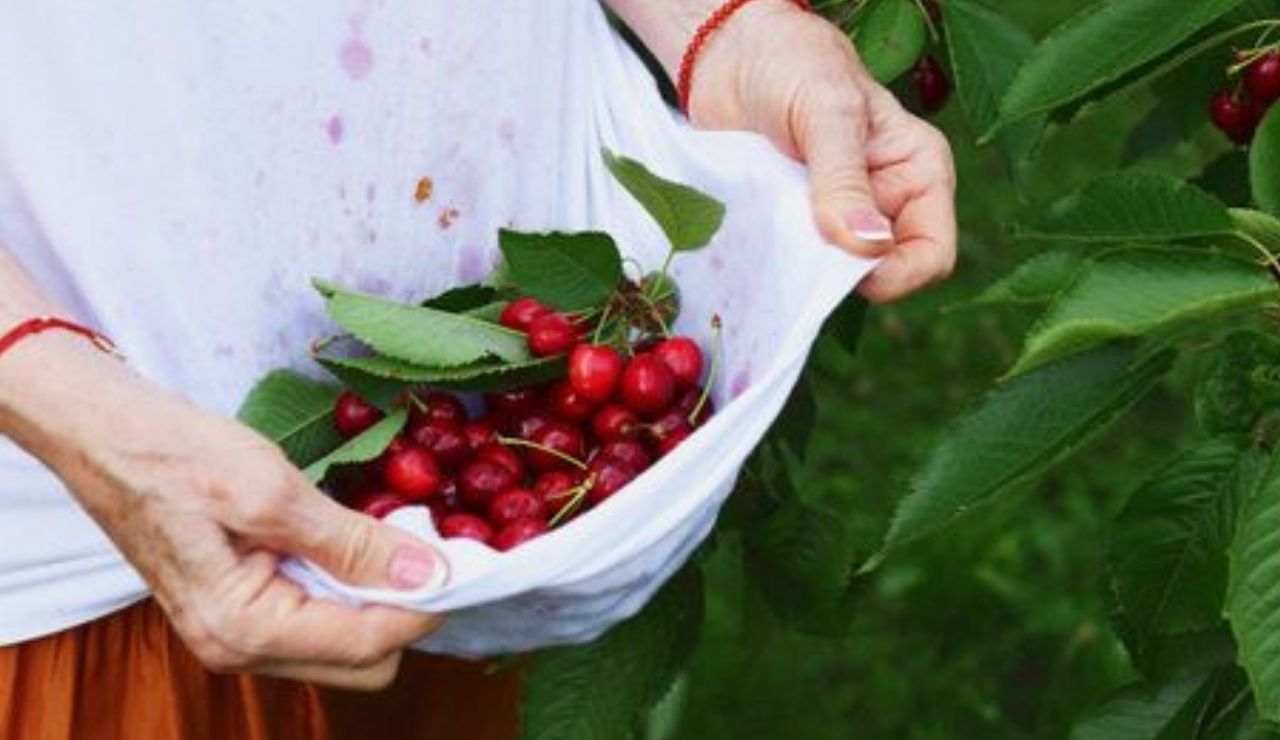 Come pulire le macchie di frutta