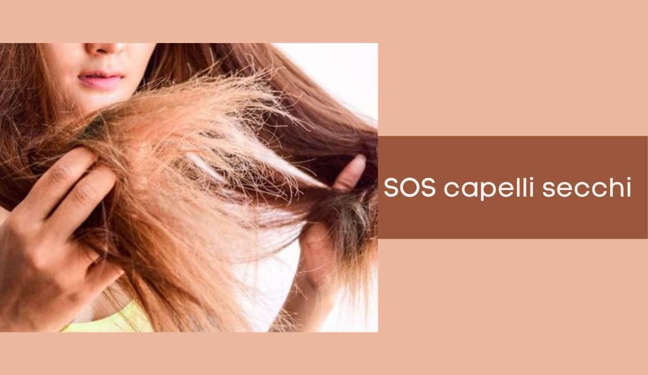 Capelli secchi in estate