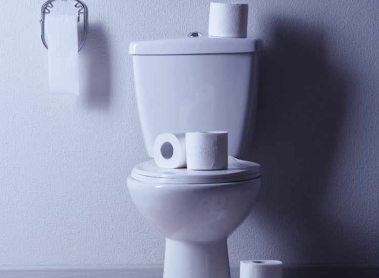 Ecco cosa non buttare nel WC per non intasarlo
