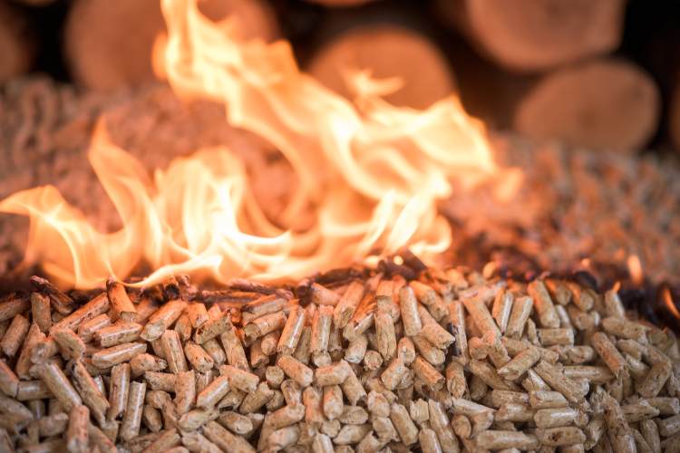 Pellet all'asta ad un prezzo imperdibile