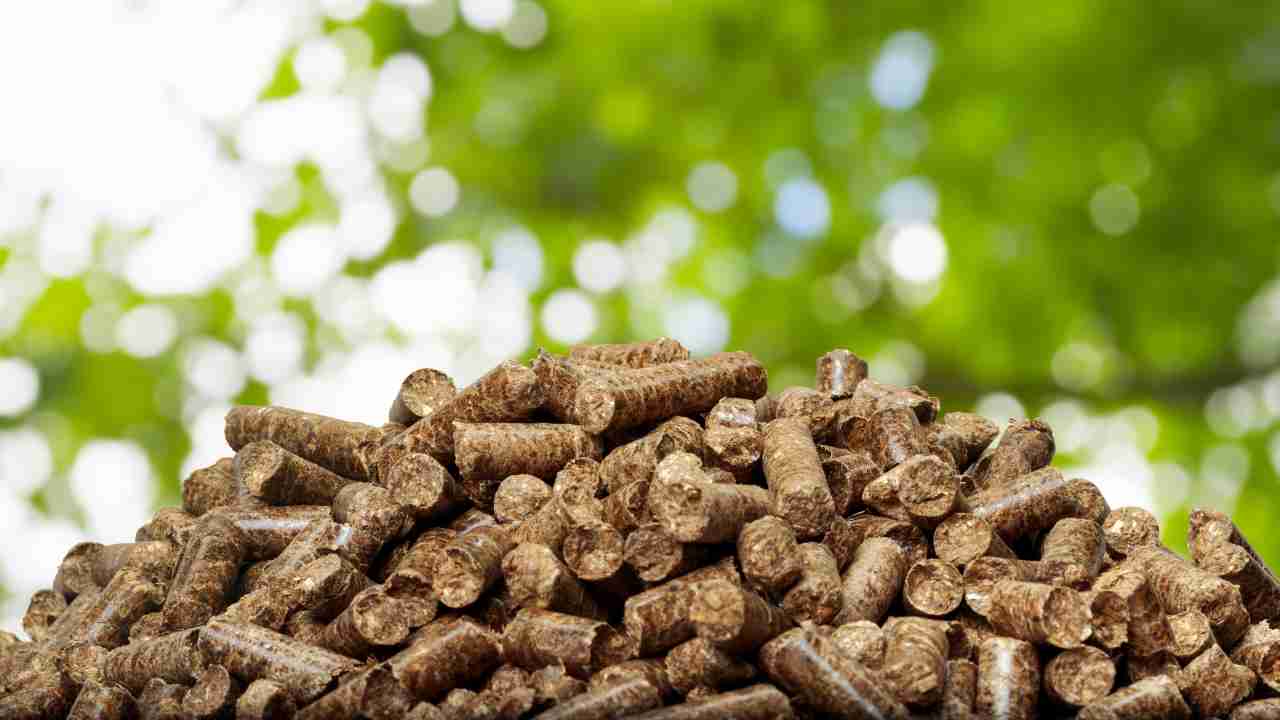 Pellet all'asta è un affare a quel prezzo