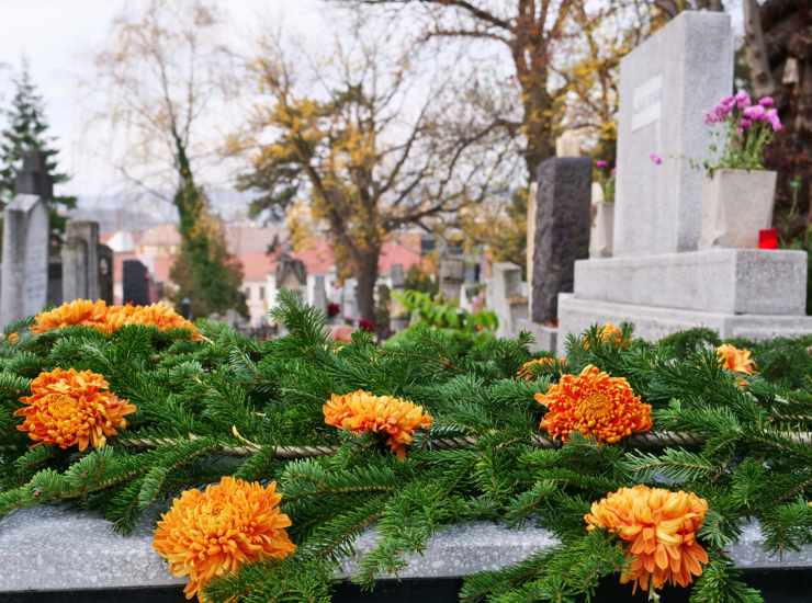 Fiori adatti al cimitero - belligea.it