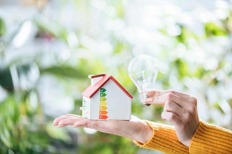 La lampadina migliore per risparmiare