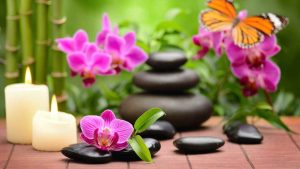 Curare l'orchidea