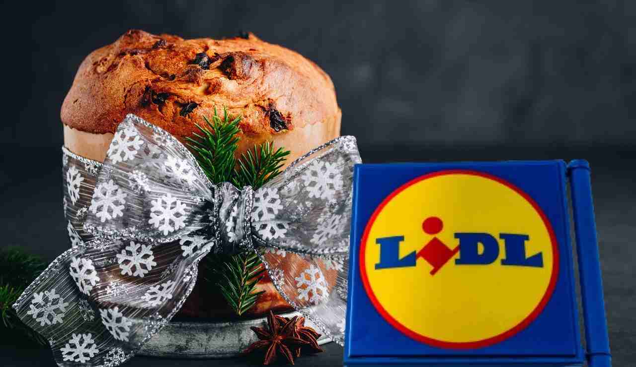 Super Christmas Lidl: panettone parade in the aisles |  A few euros for many delicacies – Belligea