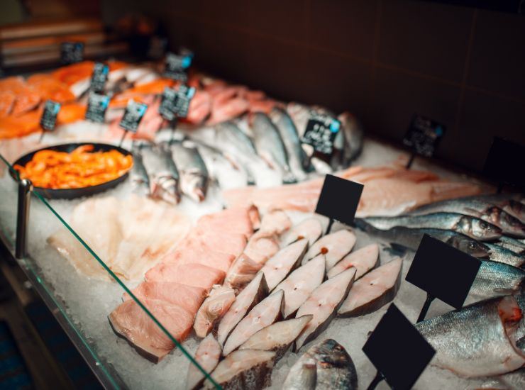 Pesce abbattuto