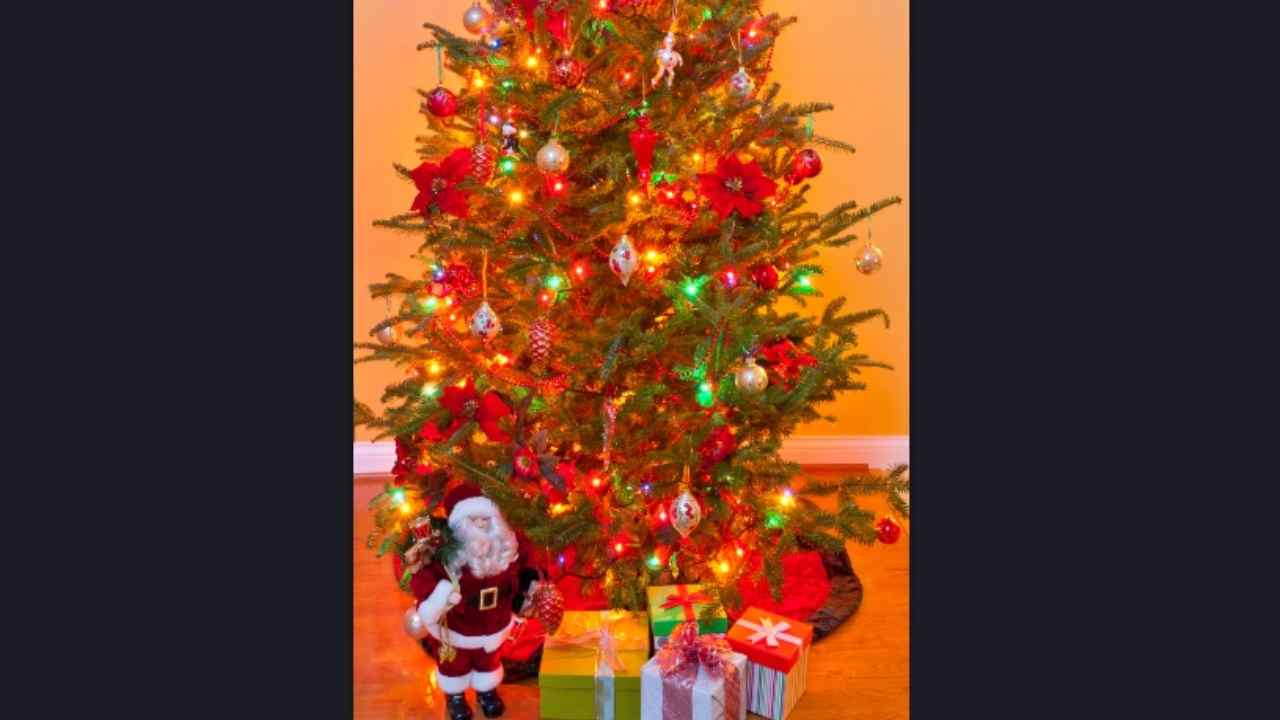 BeliceWeb.it - Albero di Natale sempre acceso: guarda quanto ti costa al giorno | Occhio alla bolletta