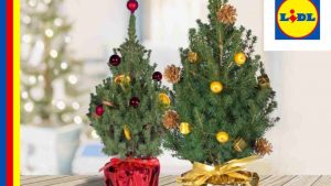 Il regalo per le mogli al Lidl
