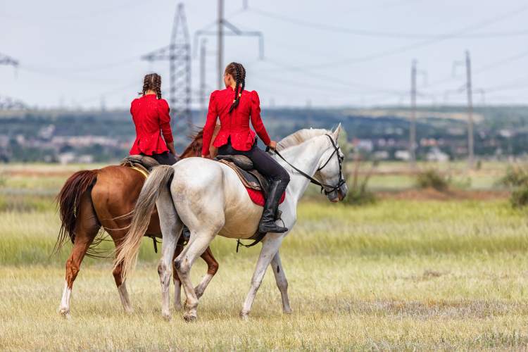 Le passeggiate a cavallo in Emilia Romagna
